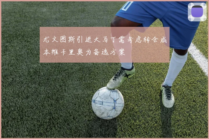 尤文图斯引进大马丁需考虑转会成本维卡里奥为备选方案